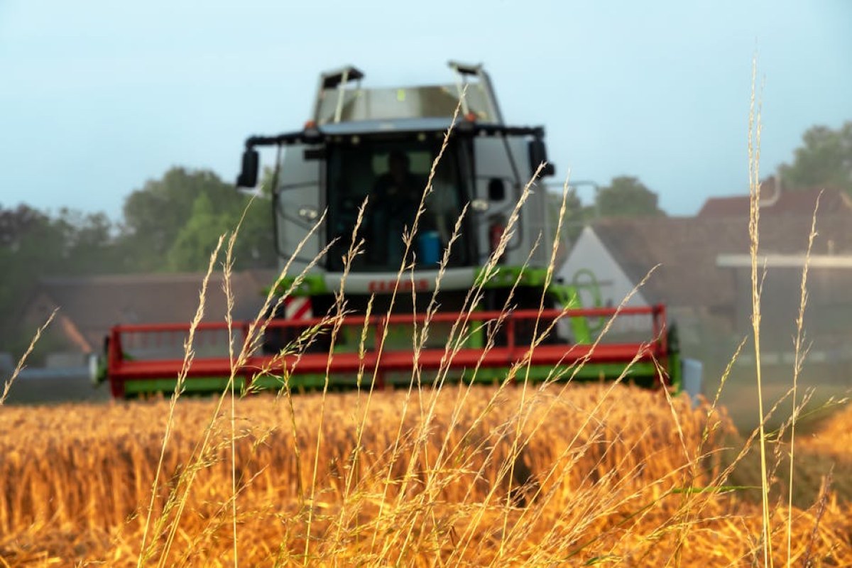 farming game mystery