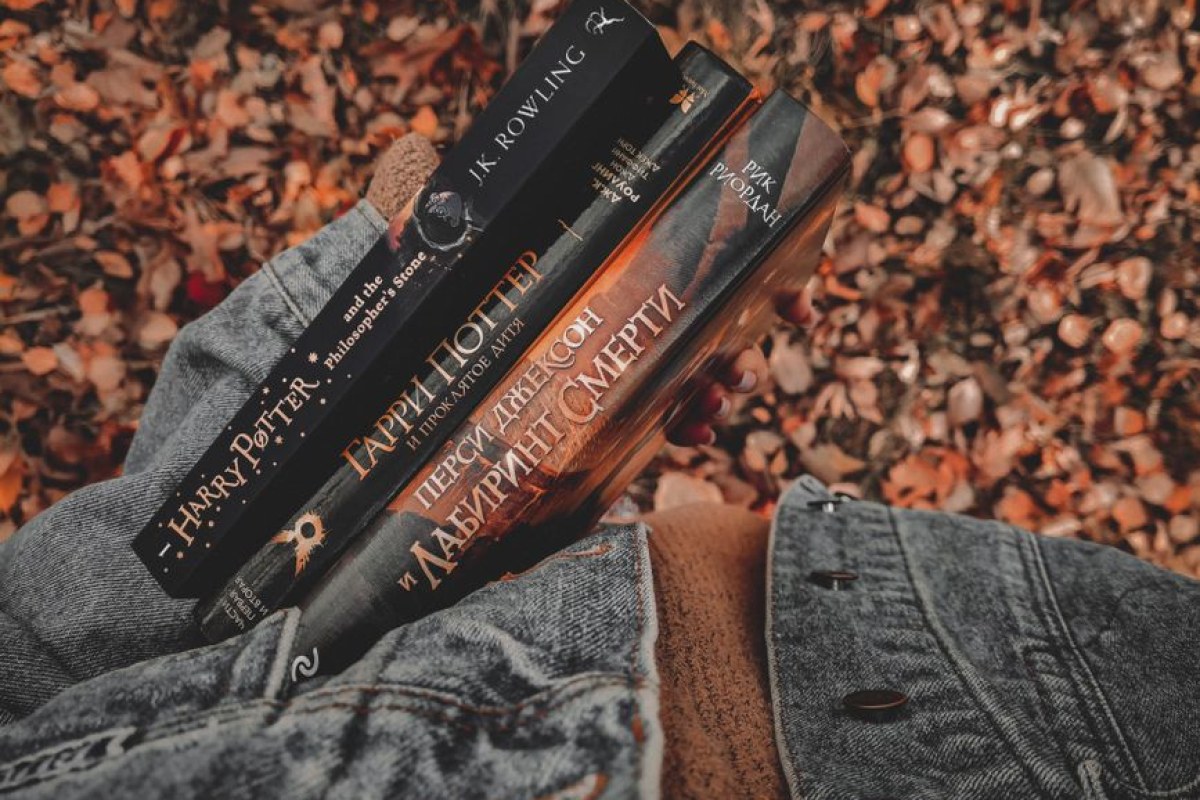 Harry Potter HBO series