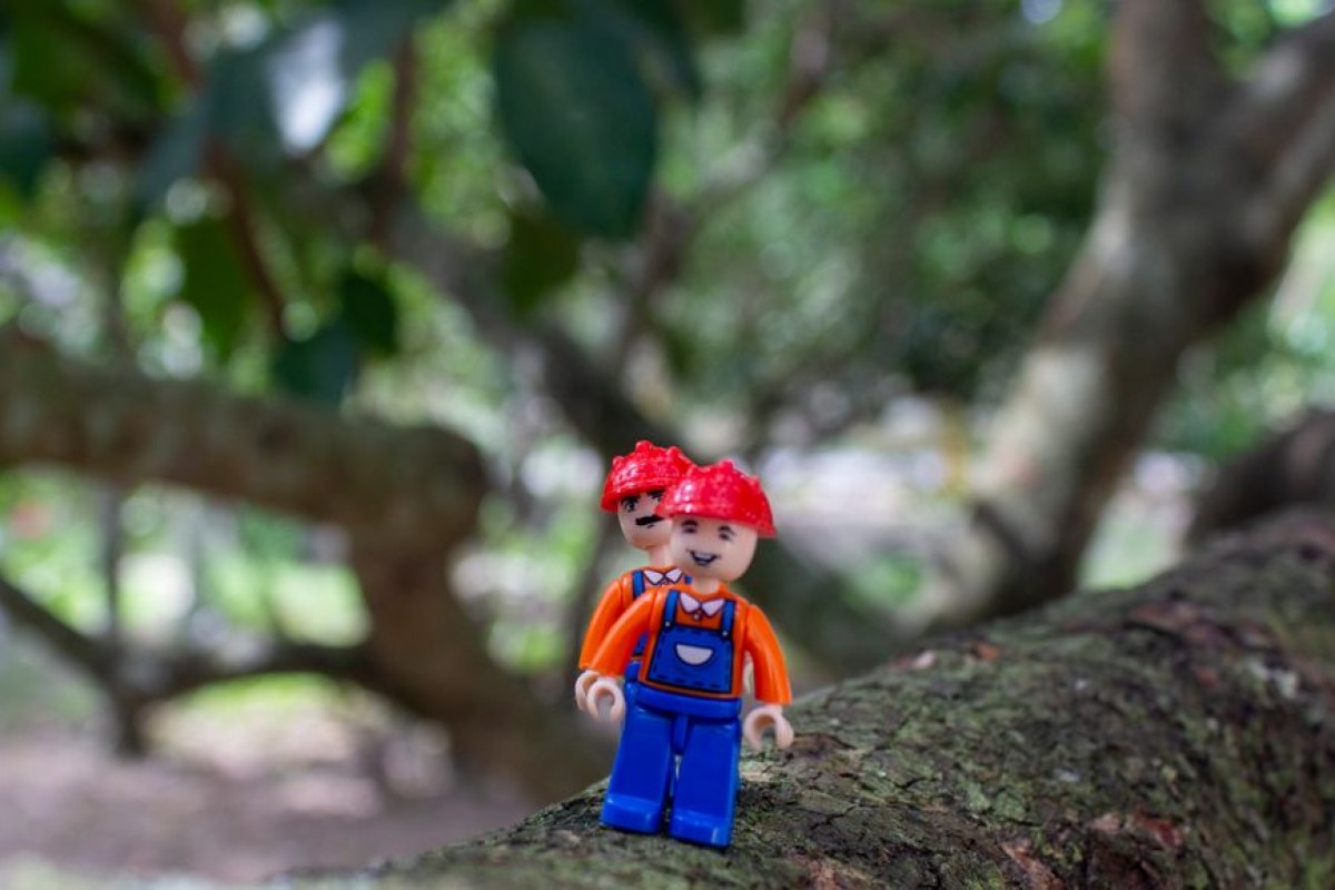 lego minifigures stolen