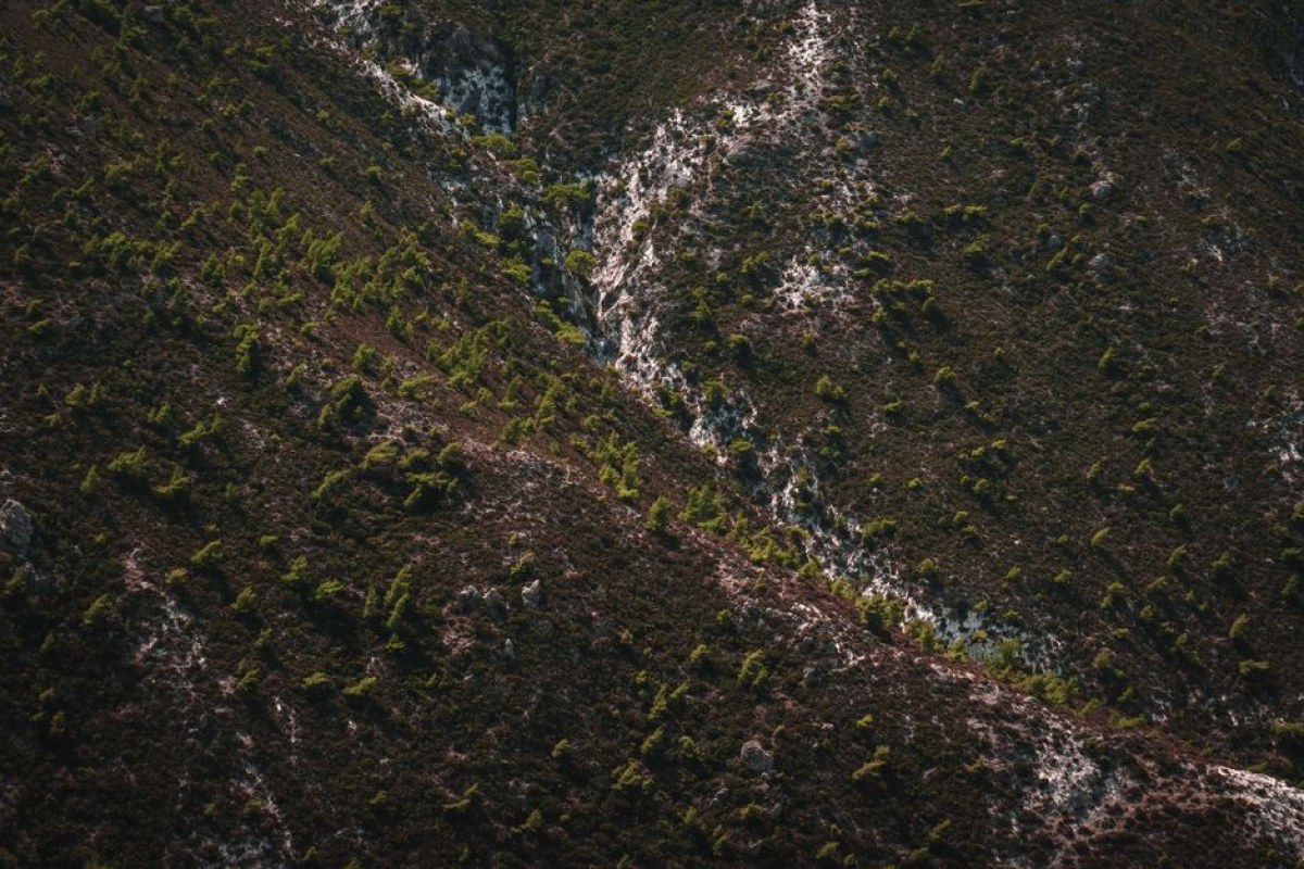 Titan Quest 2 Wild Lands