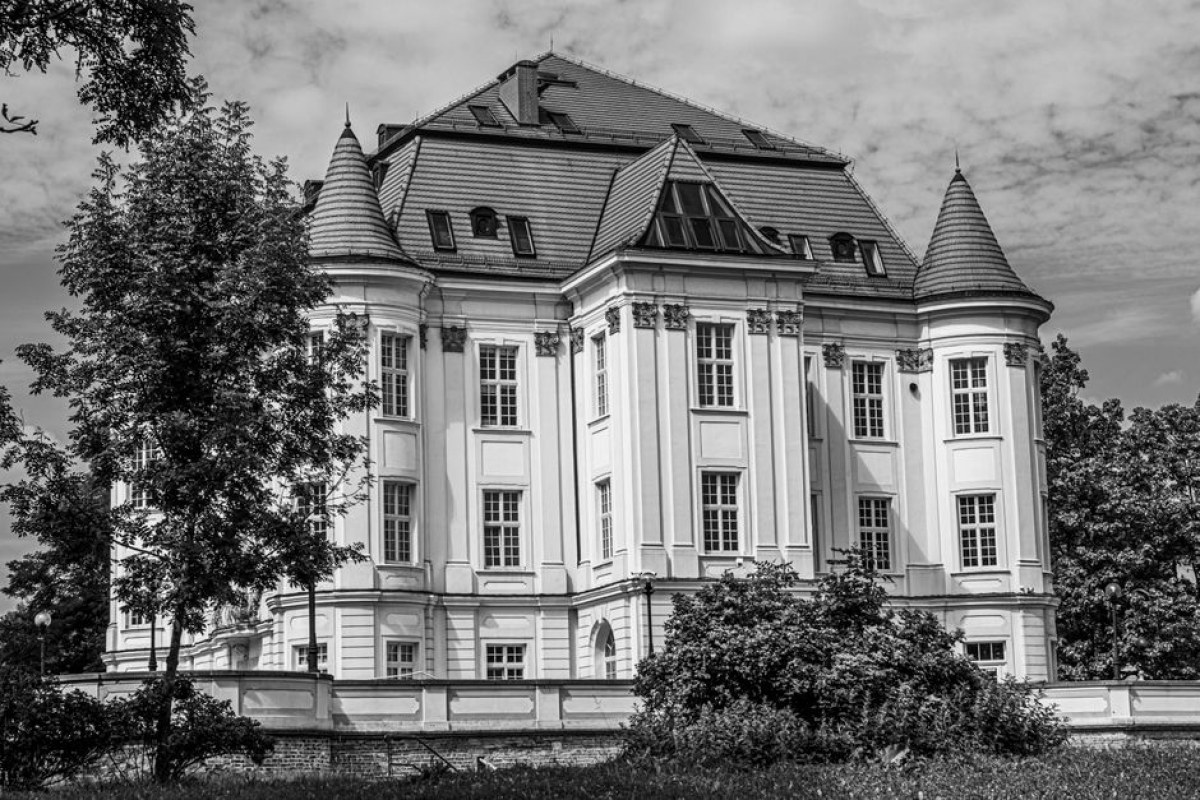 Manor Lords castle