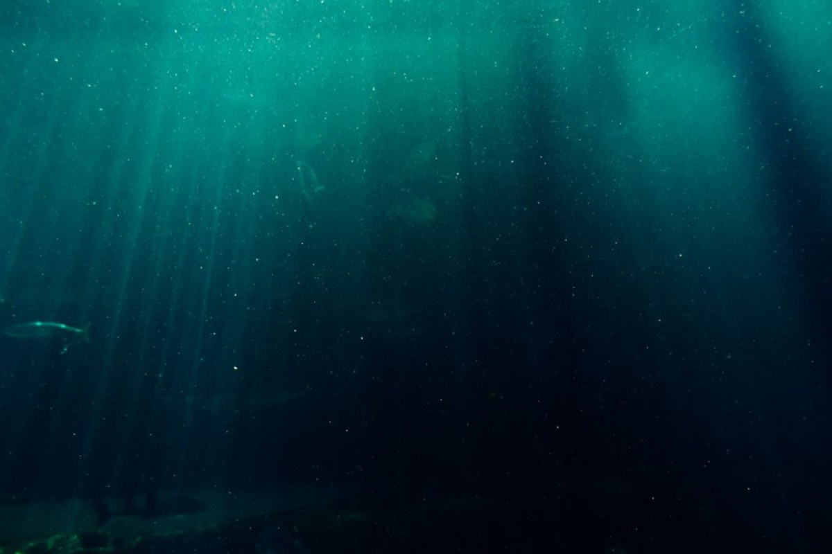 Subnautica 2 underwater