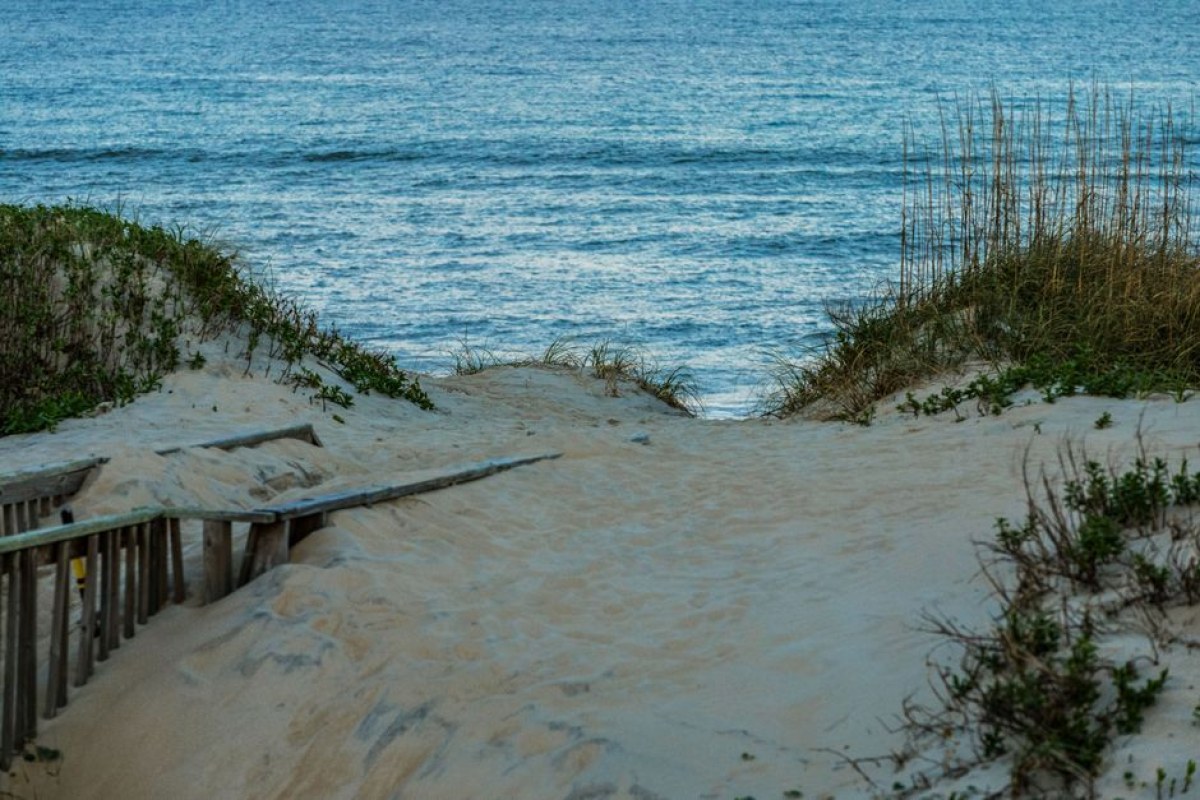 Outer Banks cast