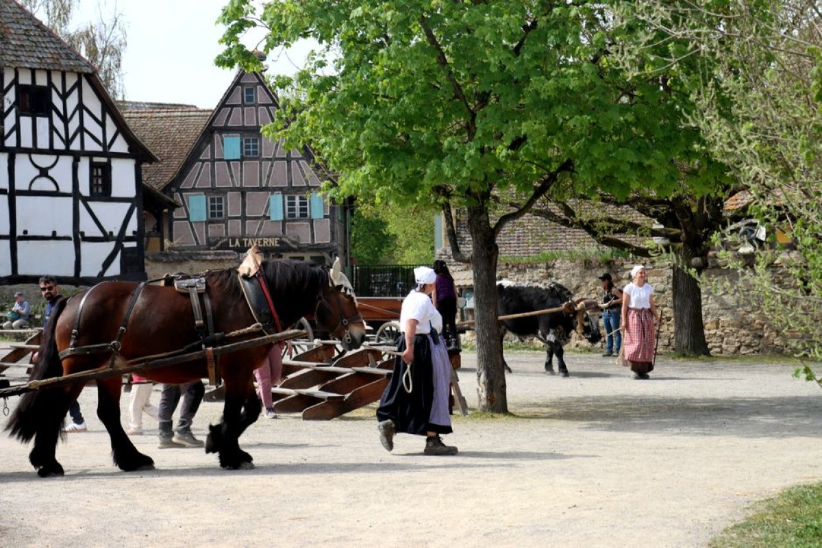 medieval tavern