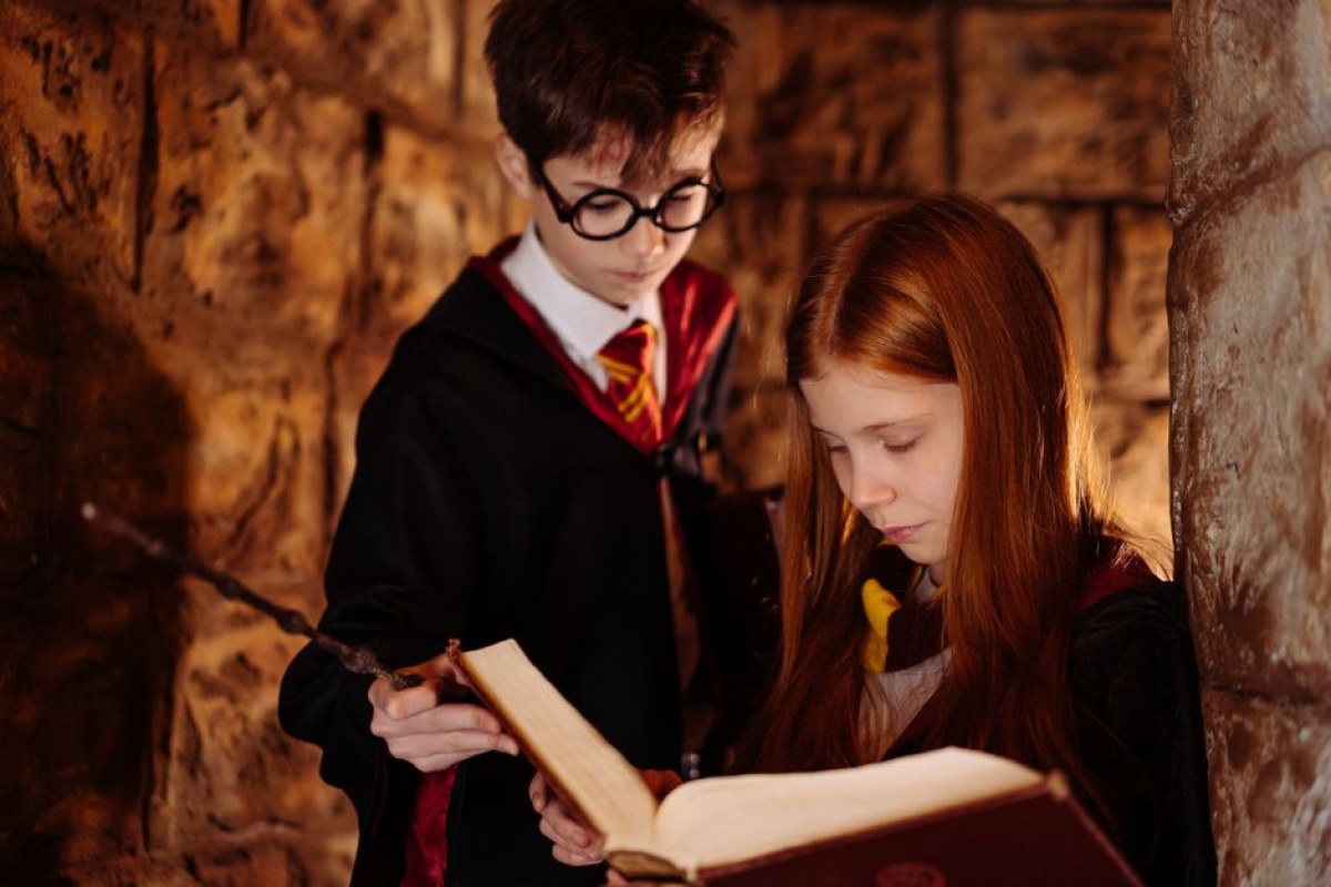 Harry Potter Lockhart
